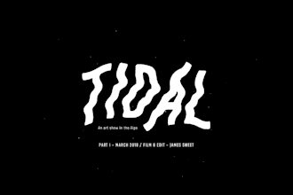 do tidal music promotion by google ads to gain