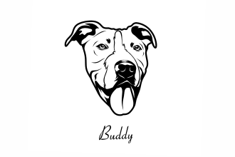draw awesome pet line art in 24 hours
