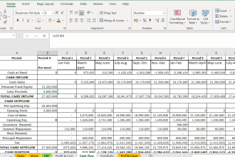 provide sales projections, financials and budgeting tool assistance