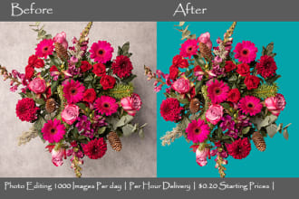 do perfects photo background cut out