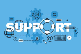 provide technical support and system administration