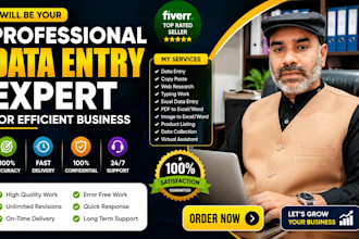 do professional data entry expert for efficient business