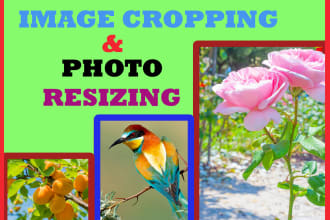do bulk image resizing photo resize and crop picture
