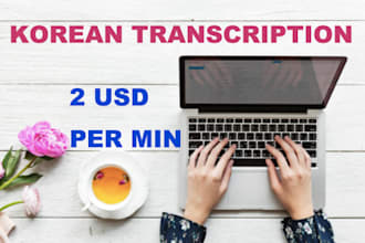 provide quality transcripts for any korean audio or video