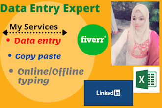 do accurate extra fast excel data entry and copy paste