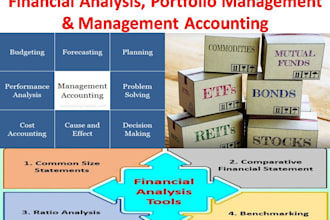 do portfolio management, financial analysis and accounting