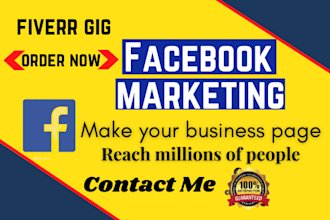 social media ads campaign manager