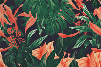 illustrate and design floral prints and patterns