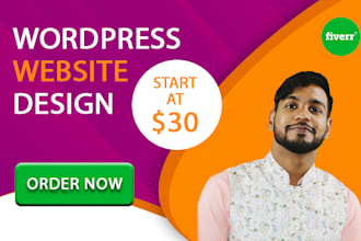 do wordpress website design and customization theme