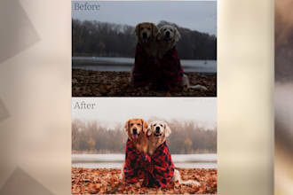edit your dog and other animal photos