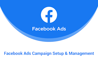 facebook ads campaign setup and organic promotion marketing expert