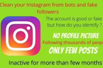 remove fake , inactive ,ghost follower on instagram