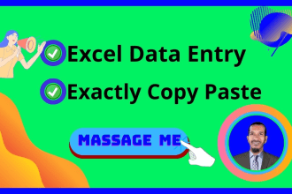 do excel data entry copy paste work within 24 hours
