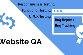 audit, QA test your website usability and functionality