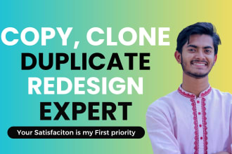 duplicate copy clone website or redesign wordpress website