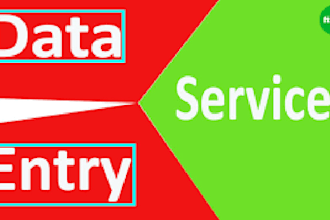 do data entry, data management and data collection