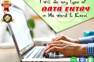 do professional data entry typing work job ms office