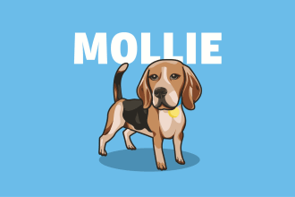 draw a cute cartoon portrait of your pet dog