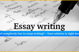 write essay for you