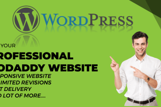 design responsive wordpress website development for business in 24 hours