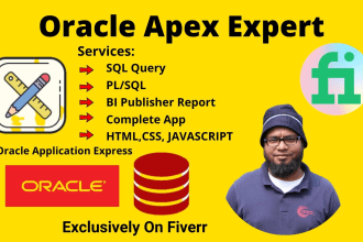 design and develop oracle apex applications professionally