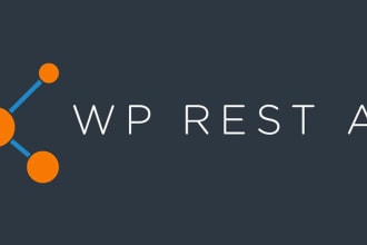 do API integration with wordpress plugin