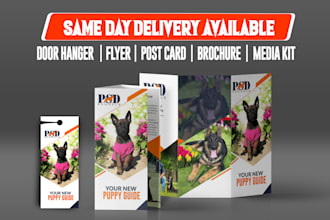 design door hanger, post card, media kit, flyer, brochure, di, business