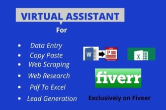 do data entry, web scraping, web research, lead generation, copy paste as VA