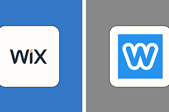 fix or add custom code to wix and weebly websites