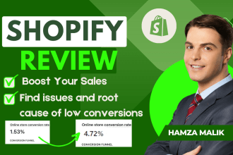 audit, review, and optimize your shopify dropshipping store