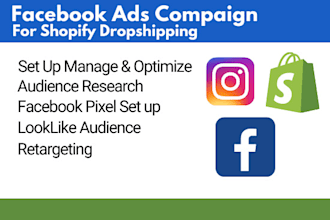 set up a facebook ad campaign for shopify dropshipping