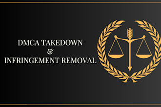 advise and carry out a dmca takedown or counter notice