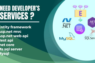 develop your asp dot net core, dot net mvc based application
