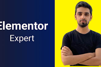 be your wordpress developer with elementor expert