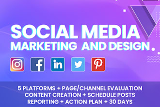 create instagram, fb, linkedin content strategy and designs