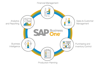 assist in sap b1 and s4 hana projects