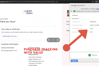setup google ads conversion tracking and  analytics in 2 hrs