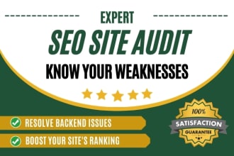 do a professional SEO audit to identify backend issues