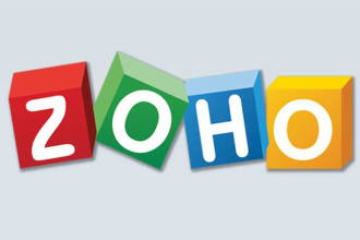 do zoho customization and API integration with any platform