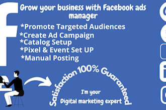 setup high conversion facebook ads campaign