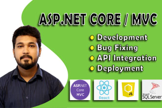 fix bugs, deploy your web app using asp net mvc or asp net core