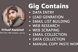 do accurate data entry, web scraping, email collection, and copy paste work