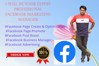 be your expert professional facebook marketing manager