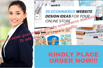 do sales guaranteed shopify ecommerce marketing fb ads and drive organic traffic