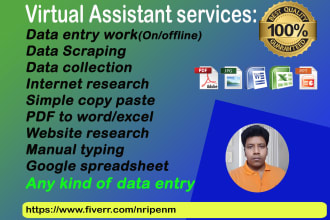 do data entry, web research and convert files in 24 hours