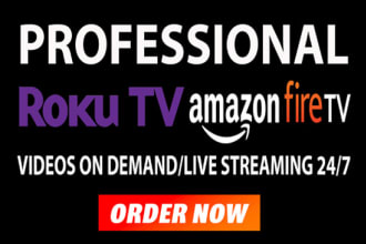 develop professional roku tv channel