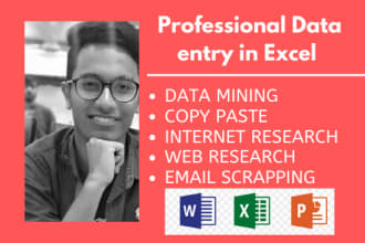 do fastest data entry in excel at low price ,data sorting