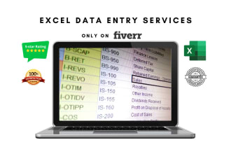 do any work related to excel and data clean up