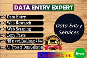do data entry, web research, web scraping and copy paste