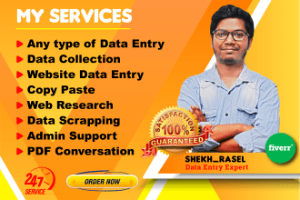 be your virtual assistant of any data entry, copy paste, web research, typing